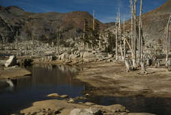 Lake Aloha, end of summer