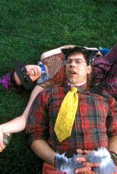 random well dressed dogs