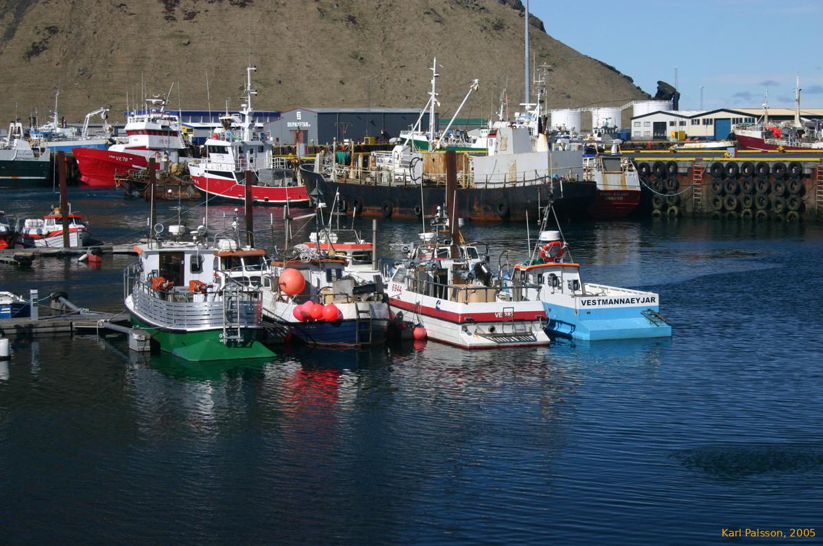 Fishing boats in the harbour