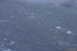Slowly freezing lake