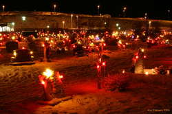 Merry christmas for all