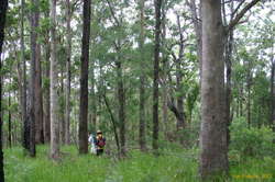 Matthew and David walking into Frog Falls