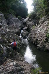 Mum heading up stream