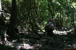Hillary walking along the creek bottom