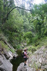 Hilary, the creek, and a funky branch