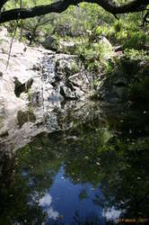 One of the biggest pools we saw