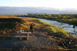 Tanja guarding dinner from the sunset