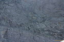 I don't think I'll ever get tired of seeing the crazy patterns in the icelandic basalt