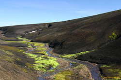 Warm water brings greenery everwhere