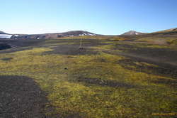 Wide open easy walking (in this weather)