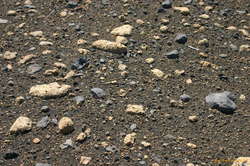 Which is rather interesting admittedly