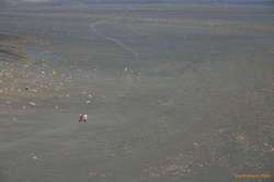 People in a sea of sand