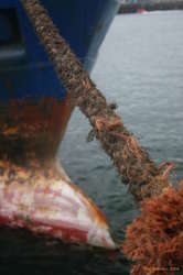 Big empty boat tied up