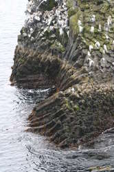 Twisted columns at Arnastapi