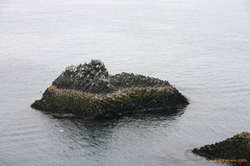 More twisted columns