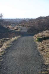 The long (and slightly windy) road home