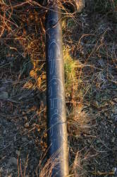 This graffiti is in town too.