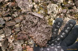 Flip side of the same rock