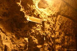 Push button in case of emergency