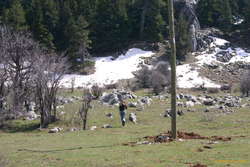 The girls scamper off to frolic in the snow
