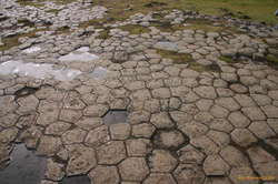 The floor at Kirkjubærklausters