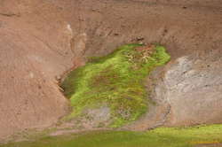 Not too hot, not to toxic, just right