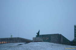 Ingolf chilling in the snow