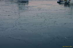 Patterns in the small boat harbour