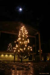 A christmas tree in a sea of ice, under a full moon