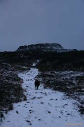 Doggur leads the way to Eldborg