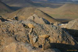 Some rockstacks for Festarfjall