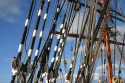 Cables, stays, as far as the eye can see