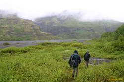 Big rivers, wet shrubbery