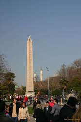 Another incongruous sight.