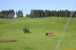 Idyllic German countryside