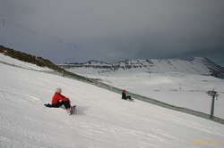 Everybody just chilling