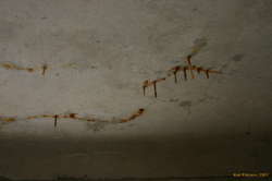 Stalactites growing in the old concrete