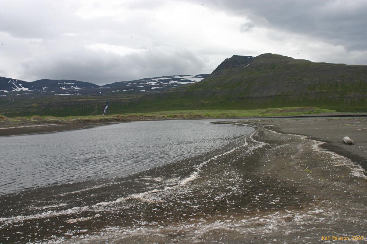 Feathers on the beach