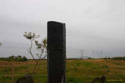 100 years of anti desertification programs