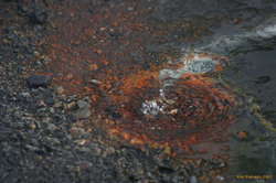 Colours in the pools