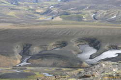 Neat snowfilled dishes