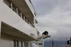 A decky hard at work, scrubbing spots