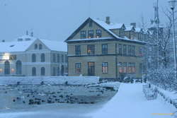 White Christmas at the pond