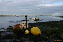 Low tide, where new and trendy meets old and workingclass