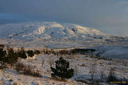 A nice pastoral scene, Syðribrú