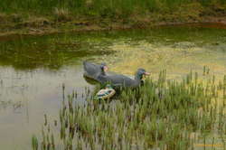 Golf course decorations