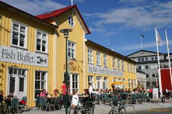 Surely not the coolest bar in town