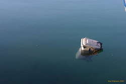 A wheelie bin makes its escape