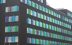 Colourful windows