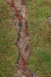 Interesting patterns